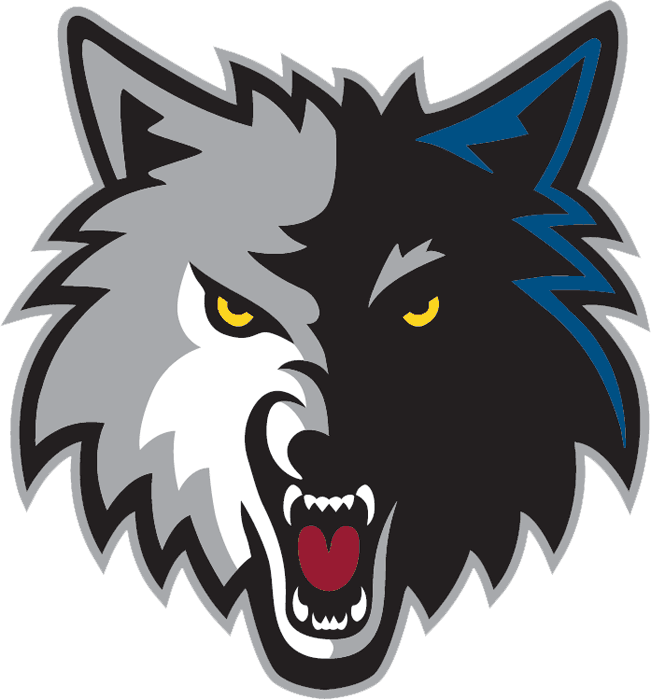 Minnesota Timberwolves 2008-2017 Alternate Logo iron on transfers for T-shirts